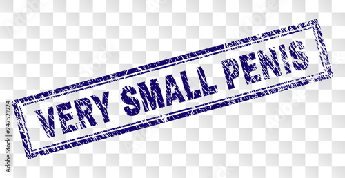 VERY SMALL PENIS stamp seal watermark with rubber print style and double framed rectangle shape. Stamp is placed on a transparent background.