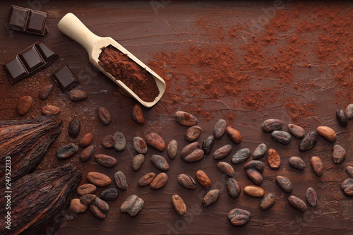 Cocoa beans pods, chocolate bar pieces, cocoa powder