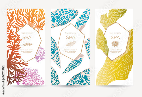  Banner template for special offers for organic shop, beauty salon, spa and seafood restaurant. Gift card or certificate with sea shells, algae and corals. Vector illustration