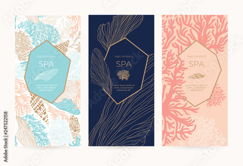 Gift card or certificate with sea shells, algae and corals. Coupon template for special offers for organic shop, beauty salon, spa and seafood restaurant