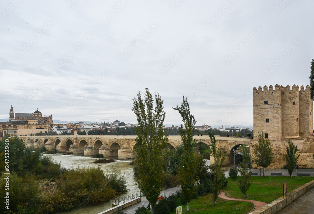 Obraz premium Roman bridge over the Guadalquivir and Mesquite in Cordoba.