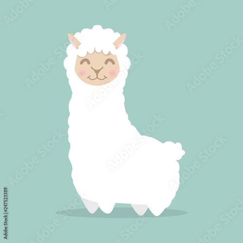 llama alpaca  fluffy vector