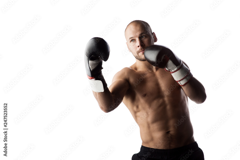 Male athlete fighter in boxer gloves. Isolated on white background. Copy Space. Fight, box, MMA, sport concept.