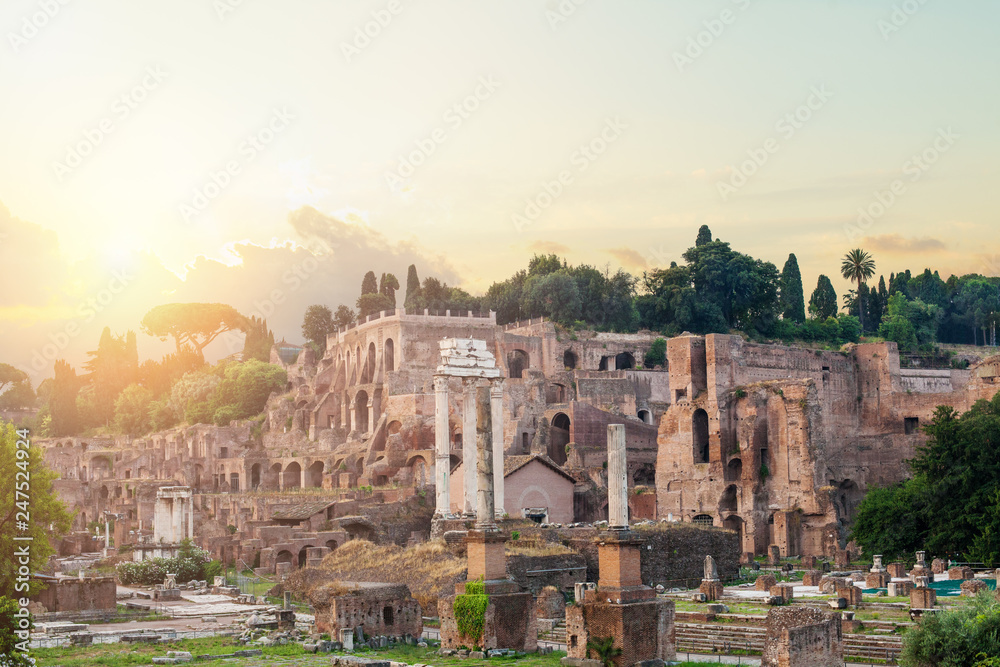Rome, Italy. Roman ruins, Forum. Rome landmark