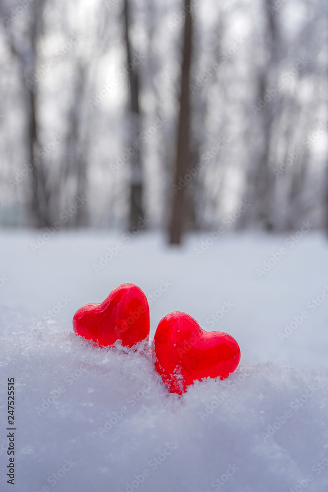 Wooden red heart for Valentines day hanging on a branch in winter Wooden red heart for Valentines day hanging on a branch in winter
