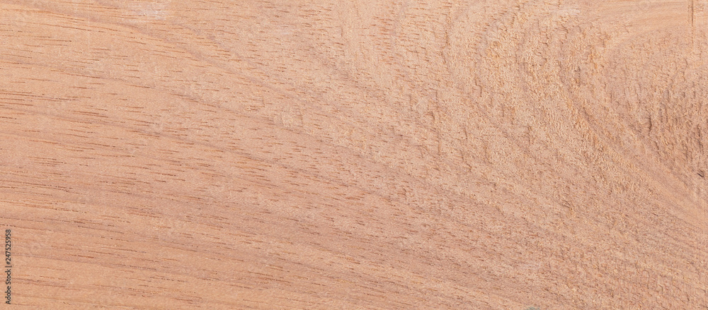 Wood from the tropical rainforest - Suriname - Couratari spp Wood from the tropical rainforest - Suriname - Couratari spp