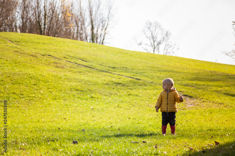 Adorable infant boy walking on grass in park, Zagreb, Croatia.