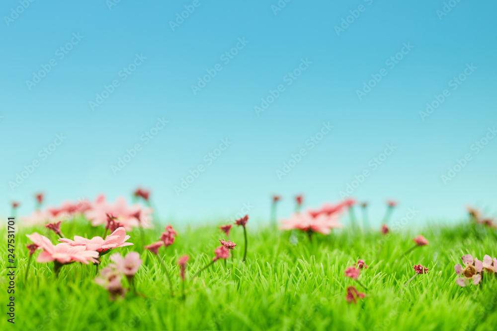Fototapeta Krajobraz z kwiatami w wiośnie przeciw niebu