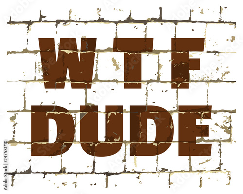 WTF Dude printed on stylized brick wall. Textured humorous inscription for your design. Vector
