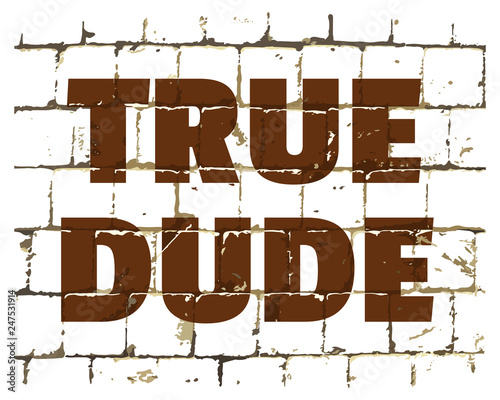 True Dude printed on stylized brick wall. Textured humorous inscription for your design. Vector
