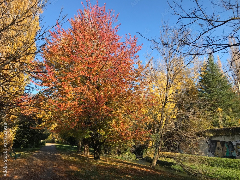 I colori dell'autunno ai giardini