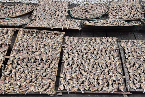 sea fish are dried in the sun