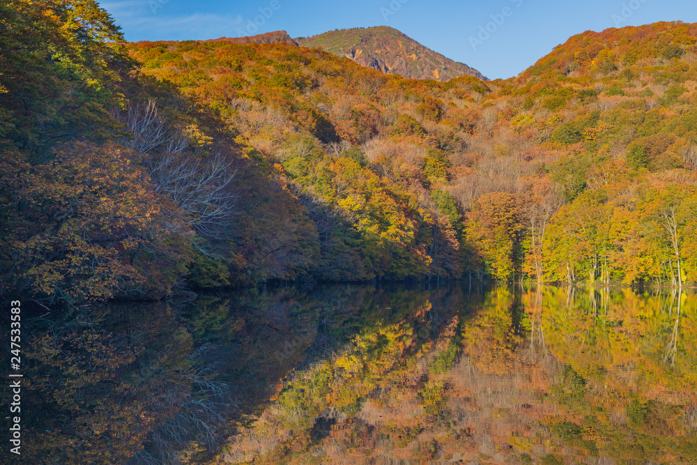 Aomori Prefecture of autumn leaves Tsutanuma　　紅葉の青森県蔦沼２