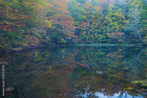 Aomori Prefecture of autumn leaves Tsutanuma 紅葉の青森県蔦沼４