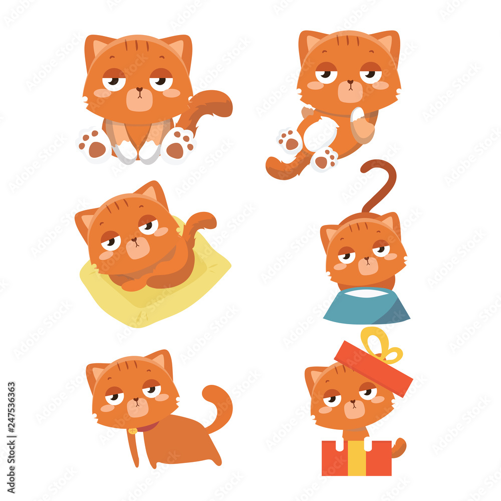 Set of different cartoon cats. .