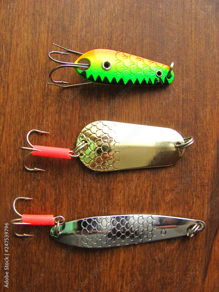 Three shiny artifician baits: fishing spinners on a wooden dark background.  Close up top view. Vertical flat lay. Stock Photo