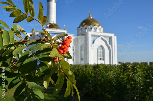 Мечеть София 