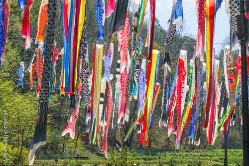Colorful carp of Koinobori festival or carp-streamer kite  to celebrate Children's Day in Nagano Prefecture, Japan.