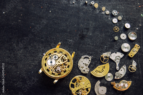 The process of repair of mechanical watches © rrudenkois