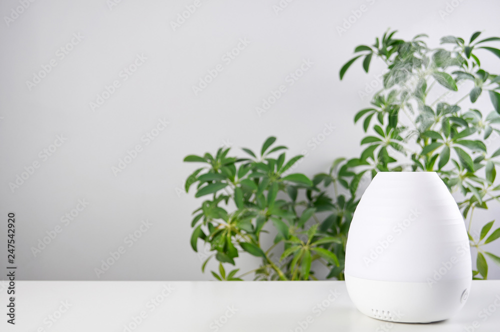 Ultrasonic Oil diffuser on white table of schefflera plant background