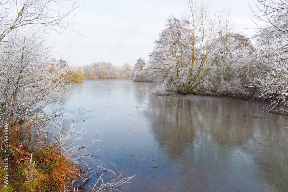 Down the length of a shallow, frozen lake fringed with frost covered trees