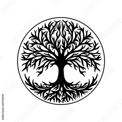 Tree of life, celtic symbol photo