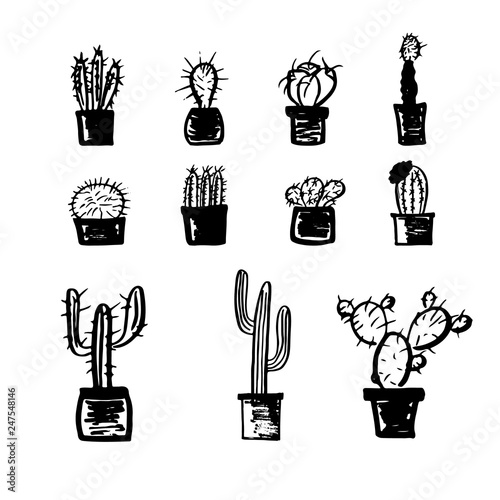 Set of marker hand drawn cactus in the pots. Vector illustration.