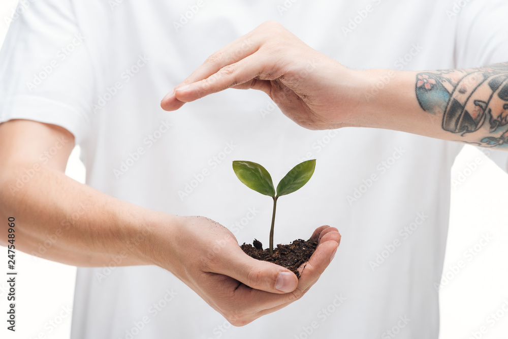 selective focus of man protecting ground with green plant isolated on white selective focus of man protecting ground with green plant isolated on white