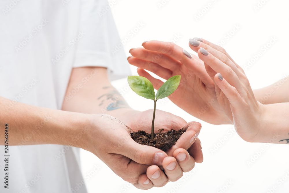 cropped view of man holding ground with plant in hands near woman isolated on white cropped view of man holding ground with plant in hands near woman isolated on white