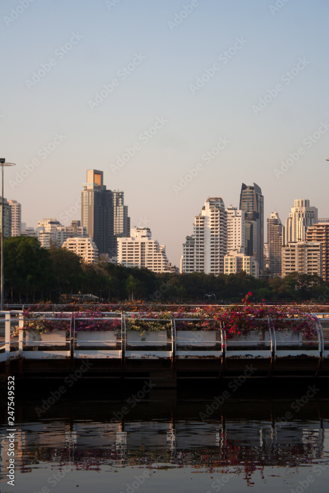 Bangkok cityscape from Benjakitti park pond during sunset: modern buildings skyline with reflections on water surface and bright fuchsia flowers nearby
