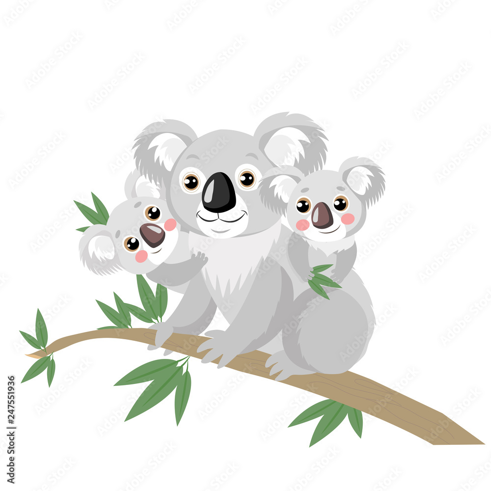 Vecteur Stock Koala Family On Wood Branch With Green Leaves. Australian  Animal Funniest Koala Sitting On Eucalyptus Branch. Cartoon Vector  Illustration. Koalas Are Not A Type Of Bear. | Adobe Stock