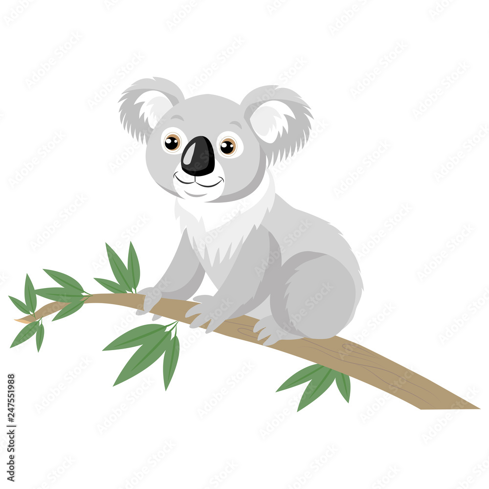 Koala Bear On Wood Branch With Green Leaves. Australian Animal Funniest  Koala Sitting On Eucalyptus Branch. Cartoon Vector Illustration. Koalas Are  Not A Type Of Bear. Stock Vector | Adobe Stock