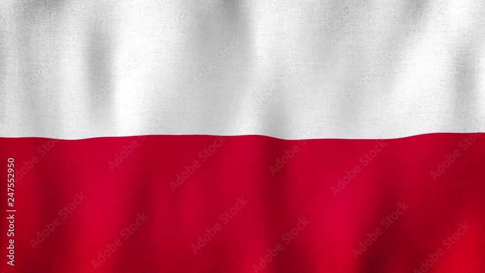 Poland flag waving in the wind. Closeup in 4k of realistic Polish flag with highly detailed fabric texture Poland flag waving in the wind. Closeup in 4k of realistic Polish flag with highly detailed fabric texture
