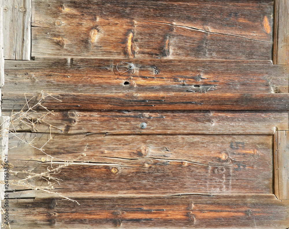 Naklejka premium wood texture background