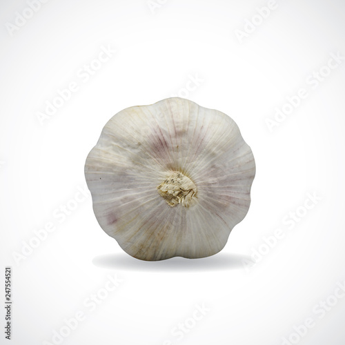 garlic, on white background, top view
