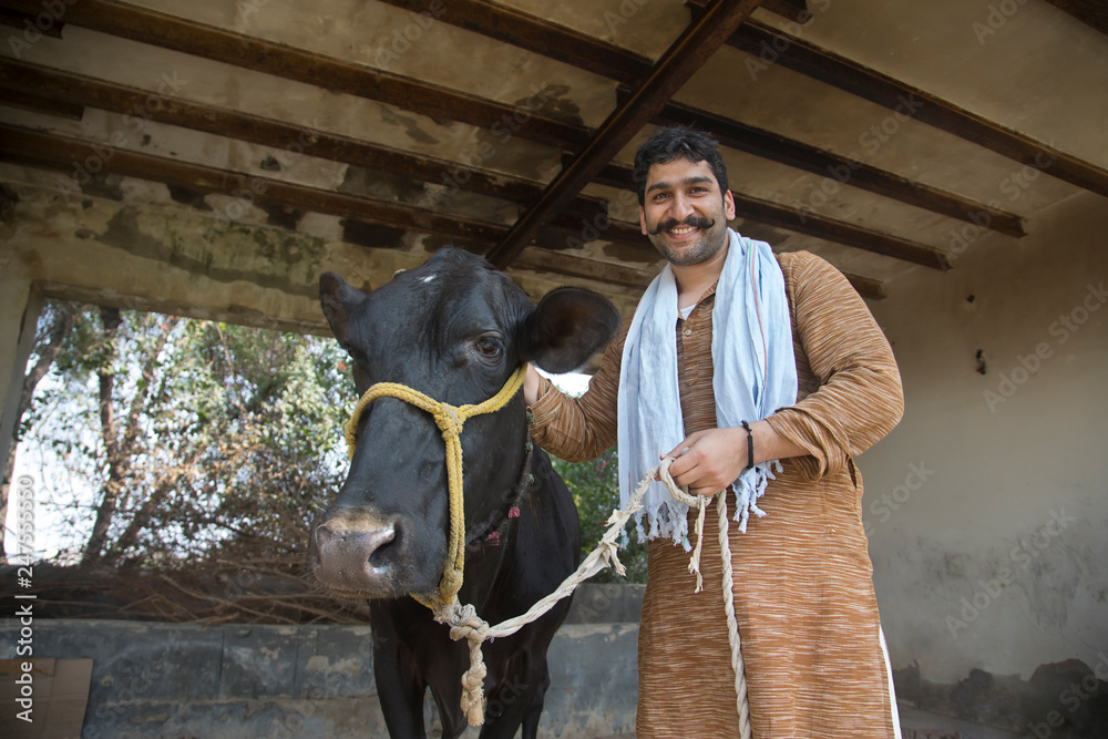 Smiling dairy farmer standing in his cow shed with a cow. Stock Photo ...