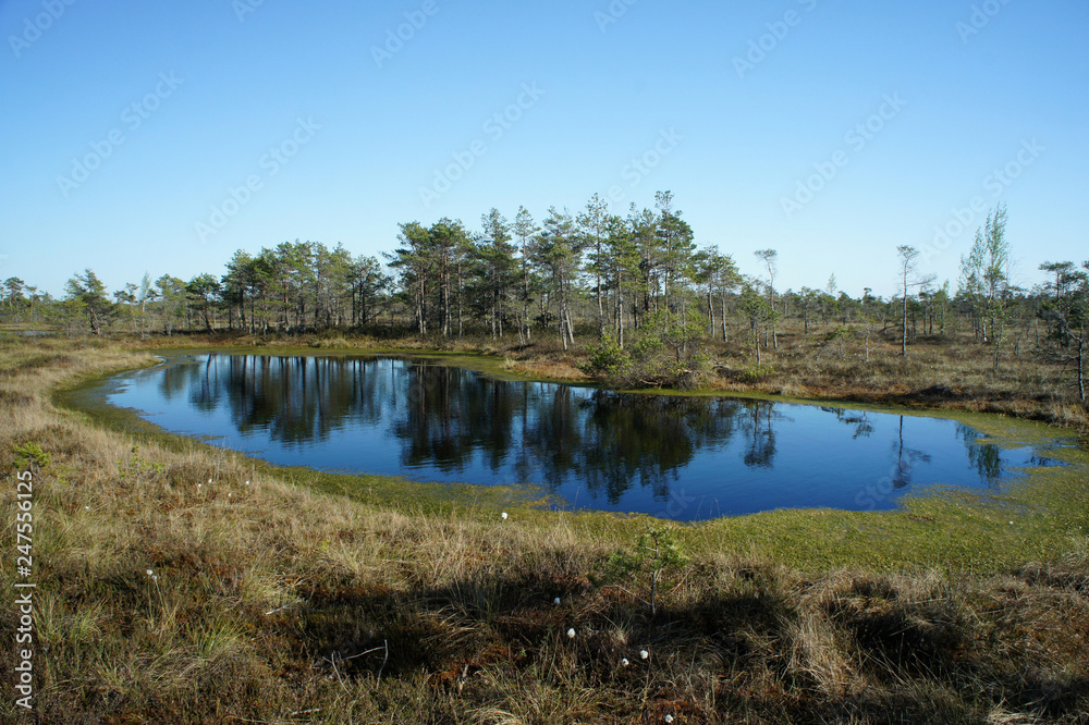 The Great Kemeri Bog.Kemeri National Park.Latvia.