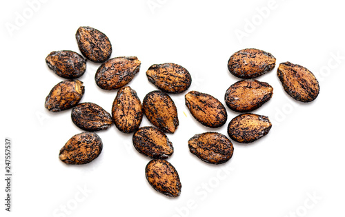 watermelon seeds on a white background isolated photo