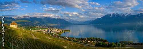 Top view to vineyards near Vevey at Geneva lake photo