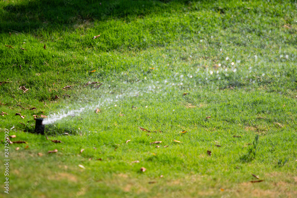 Defocused, Irrigation system watering the green grass with bokeh background. Defocused, Irrigation system watering the green grass with bokeh background.
