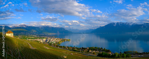 Top view to vineyards near Vevey at Geneva lake