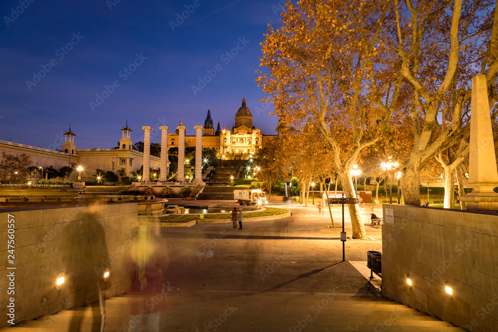 Fototapeta premium night skies over the catalonian art museum in barcelona