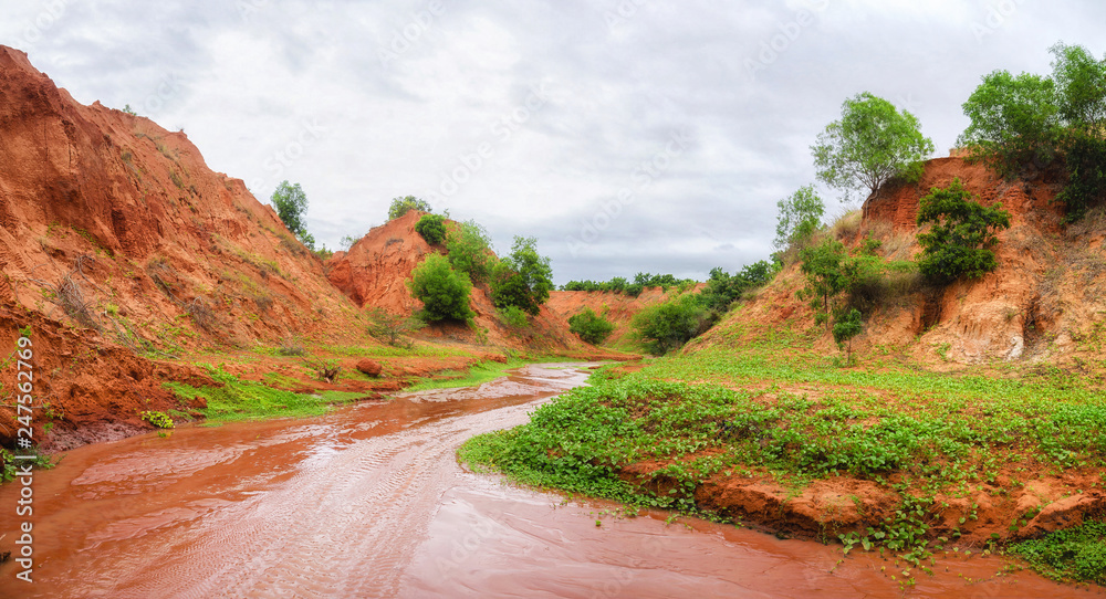 stream running down a red canyon with green clover on the shore in Vietnam near Mui Ne