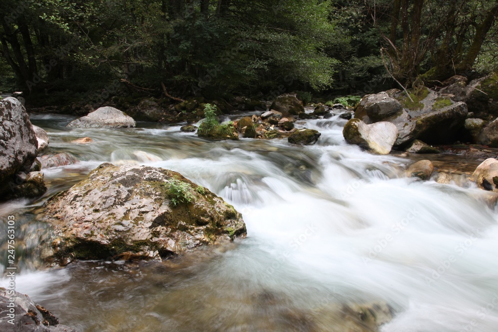 Crni Drim River in Macedonia