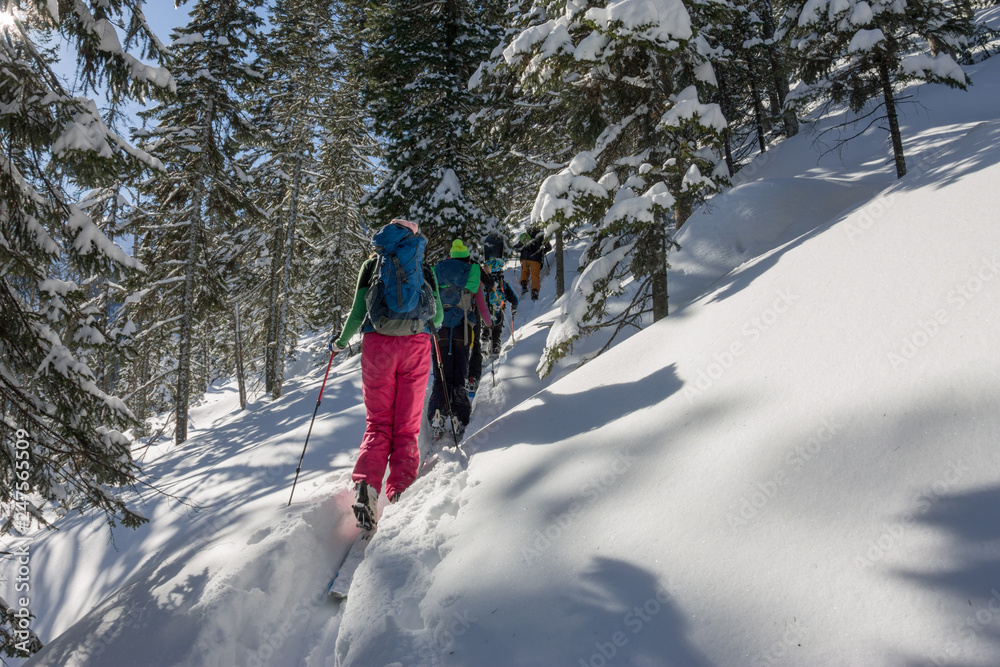 Woman skier freeride skitur uphill in snow in winter forest