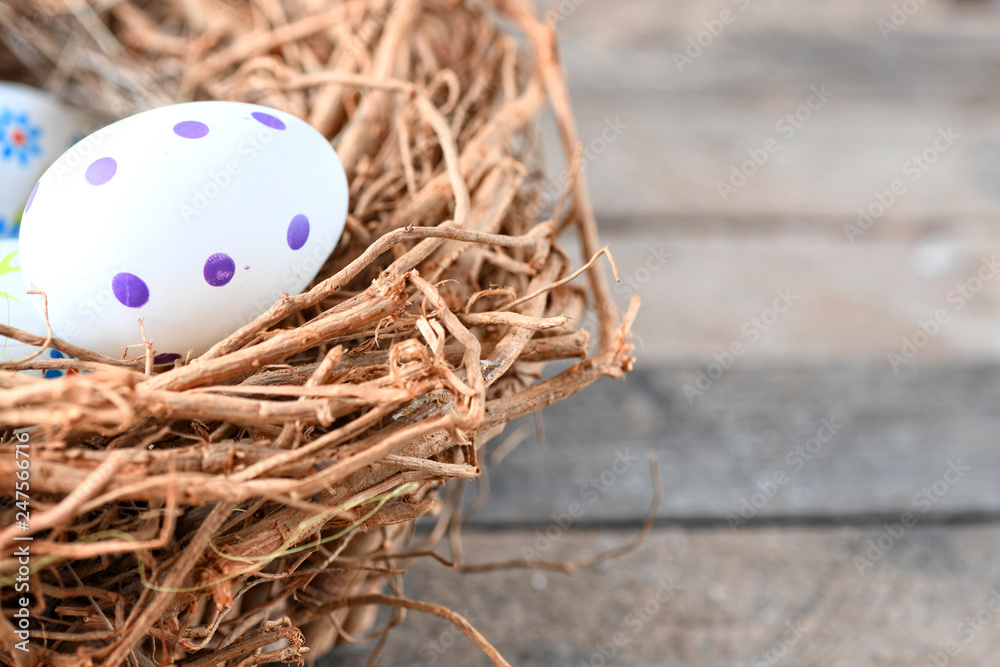 Obraz premium Easter egg or nest