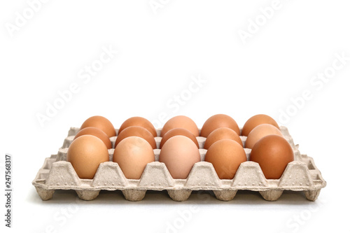 Fresh chicken eggs in paper tray isolated on white background