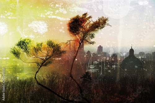 Grunge city skyline with cypress branches.