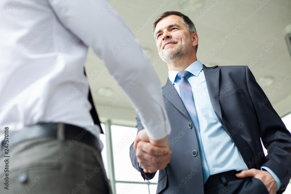 Business people shaking hands, finishing up a meeting. Business people shaking hands, finishing up a meeting.
