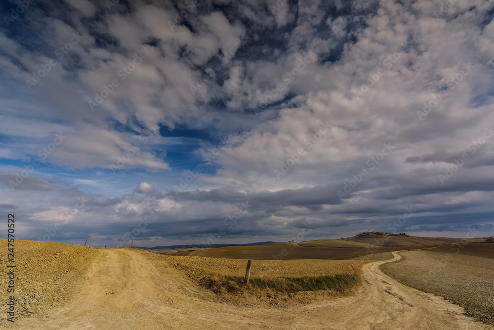 Siena, Toskana, Italien, Landschaft bei Taverne d’Arbia, Site Transitoire, leonina, Herbst